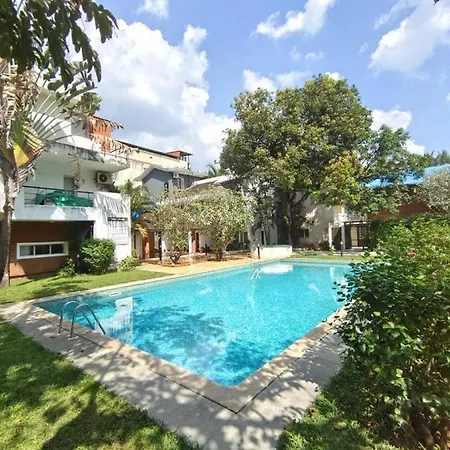 Villa M - Solitude 2 Candolim Goa 3Bhk, Pool Facing, Near Beach, Free Breakfast, Free Wifi And Prime Location